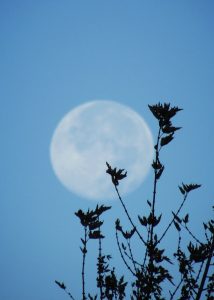 4种实用技巧 帮你延长性爱时间